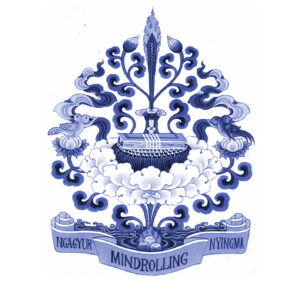 Update on the Transmissions