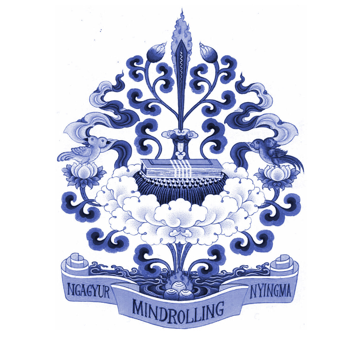 Update on the Transmissions